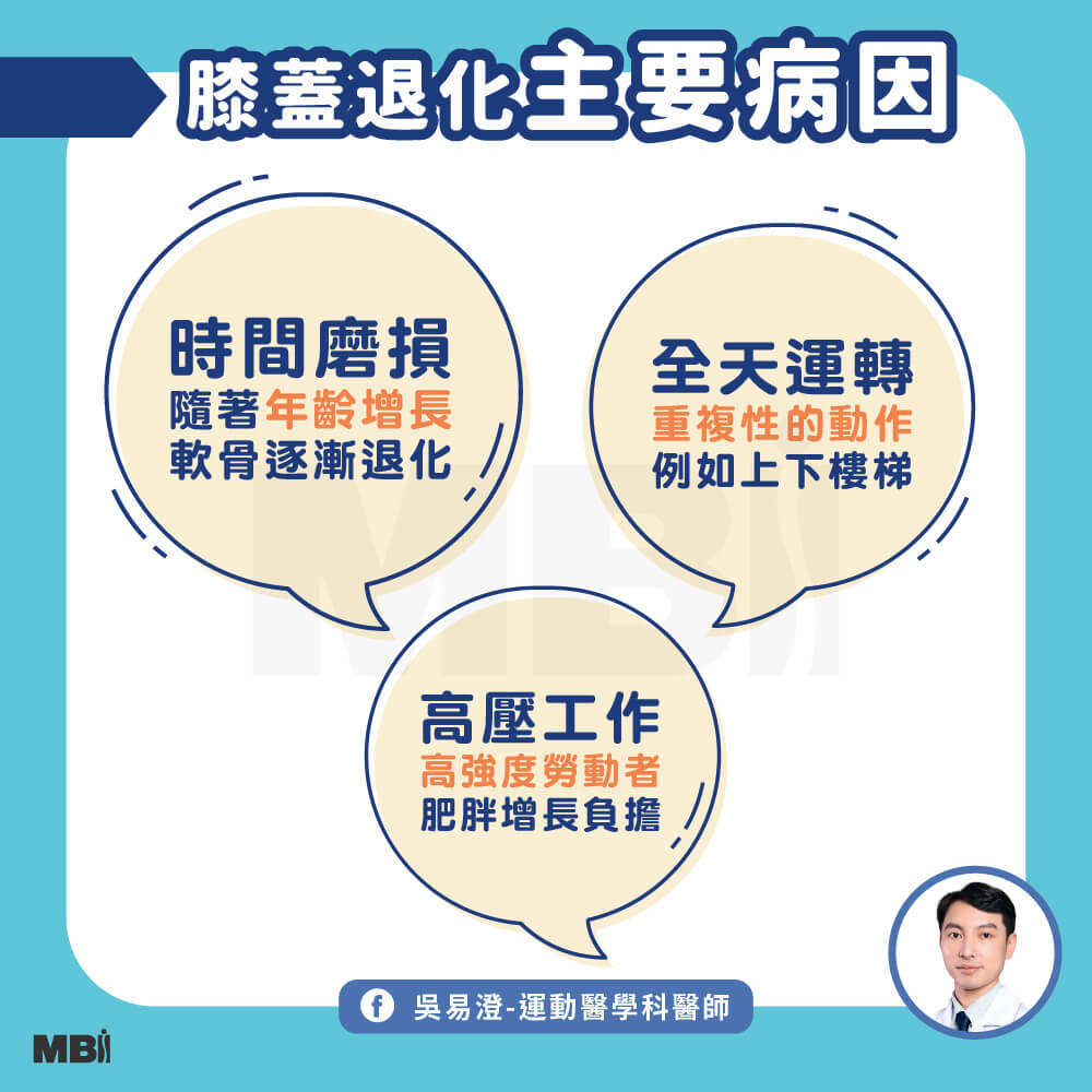 膝蓋退化主因